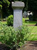 image of grave number 245934